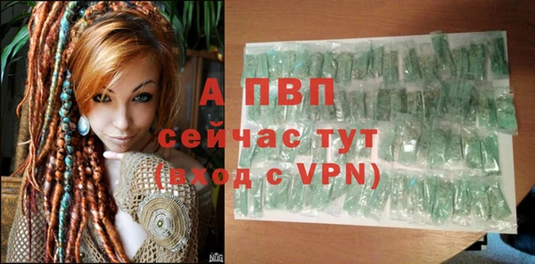 PSILOCYBIN Абаза