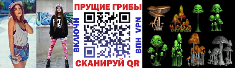 Псилоцибиновые грибы Magic Shrooms  сайты даркнета наркотические препараты  Ирбит 